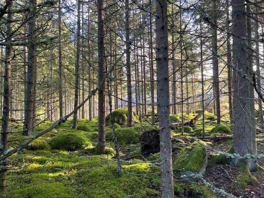 Gaeststuga 100M Fran Sjoen Vislanda Esterno foto